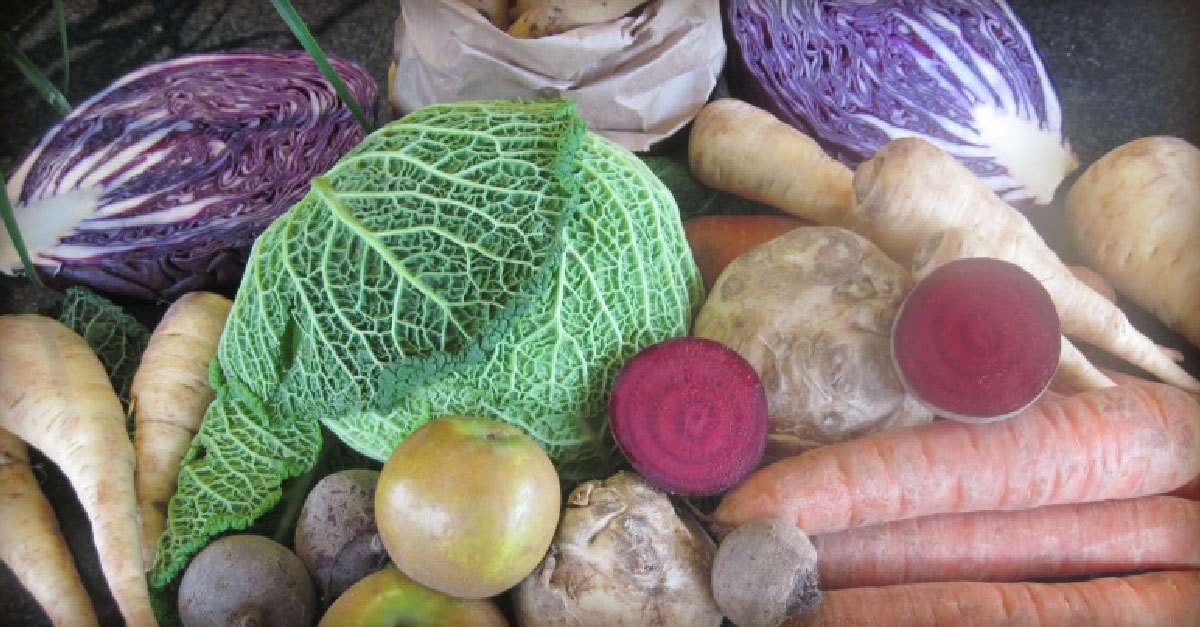 One of our local producers <a href="/NorbertsFood/">Norbert's Good Food</a> is a TRUE farm to table producer. Check them out: bddy.me/2gSn2s4