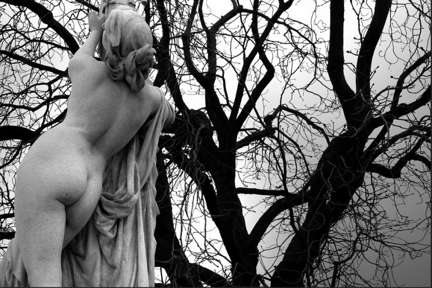 ValentyneDreams's tweet photo. Branches shorn of leaves,
fallen memories
dipped in sepia...
Shifting winds
like love, impossible
to predict.

#BentHalos

Ph • Yvan Lemeur https://t.co/zhN6nci9l4