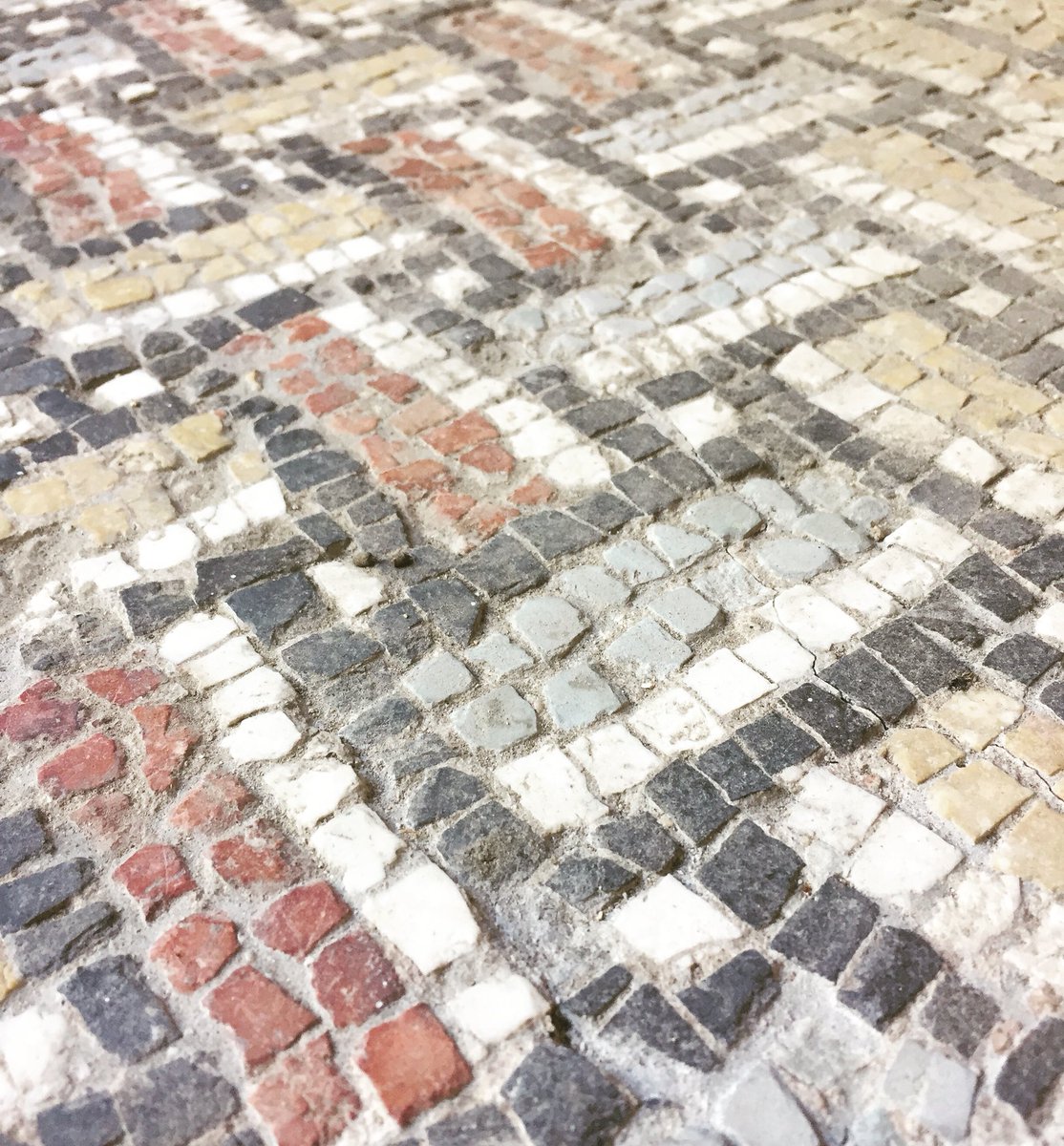archeoscavi's tweet photo. Il #mosaico è una lavorazione il cui effetto #visivo è dato dall’accostamento di elementi diversi, meglio noti con il nome di #tessere.
Questo dettaglio musivo è #fruibile al Museo Archeologico Nazionale di Cagliari #archeoscavi #photo #mosaico #visitcagliari #sardiniaturismo https://t.co/T6yb0VGmJo