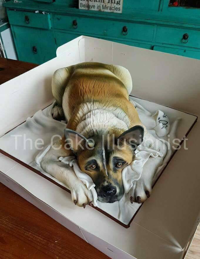 M4gicDragonMach's tweet photo. Our next comp is up and it’s a scorcher! You can win a FREE class with the legendary @cakeillusionist! Can I enter?! https://t.co/vbWAADIScV https://t.co/Qj7WXj83h1