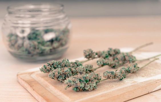 weedydotcom tweet media