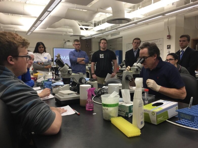 LAB SNEAK PEAK: Our first sneak peak is into Dr. Voss’s lab on axolotl tail regeneration! Cool stuff happening here at UK with STEMCats!