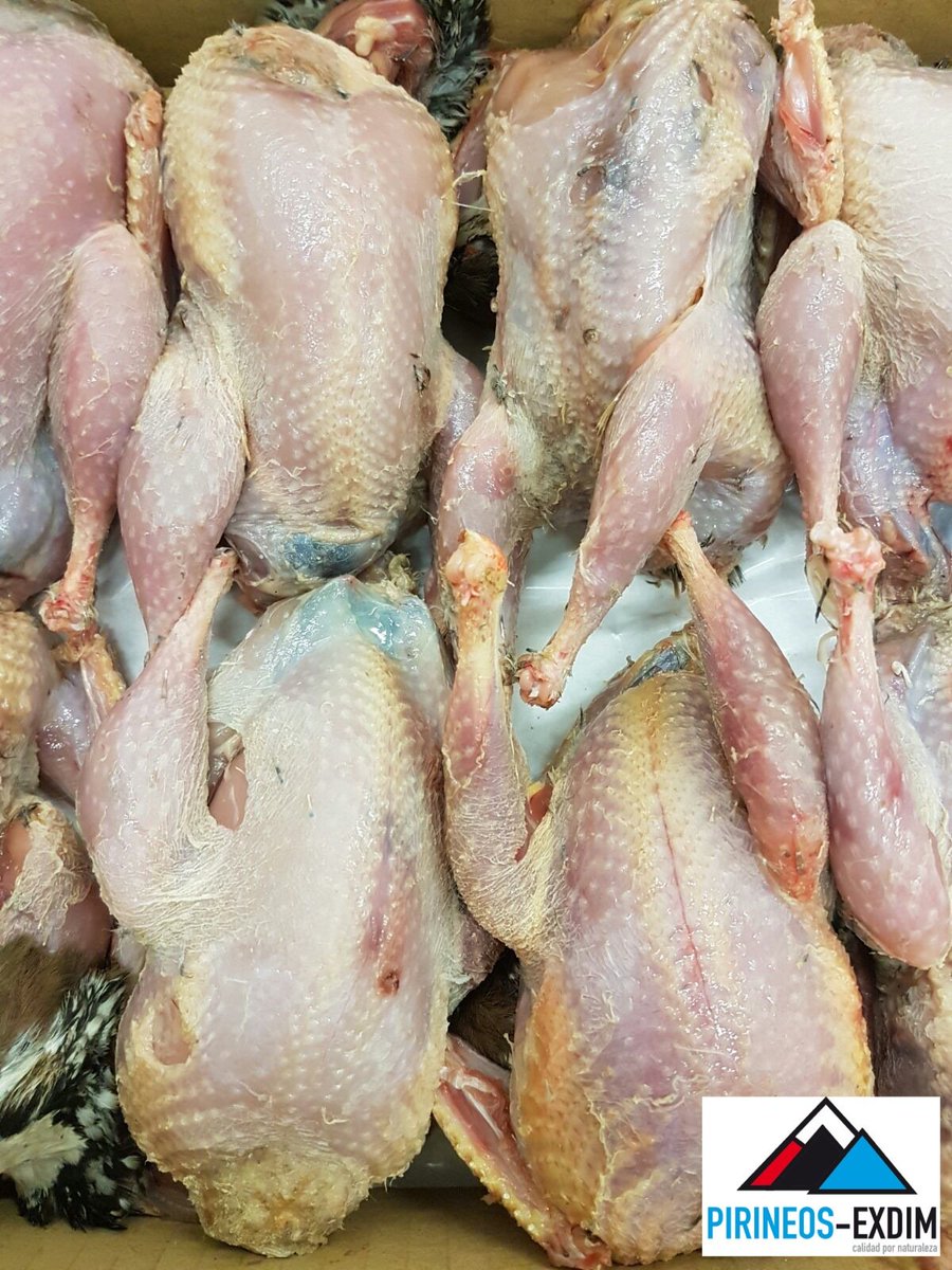 PirineosExdim's tweet photo. LA #PERDIZ, REINA DE LA CAZA MENOR | En temporada, no podemos no hablar de LA PERDIZ: una #exquisitez de la gastronomía en meses de otoño. https://t.co/nu4oEaiFxz