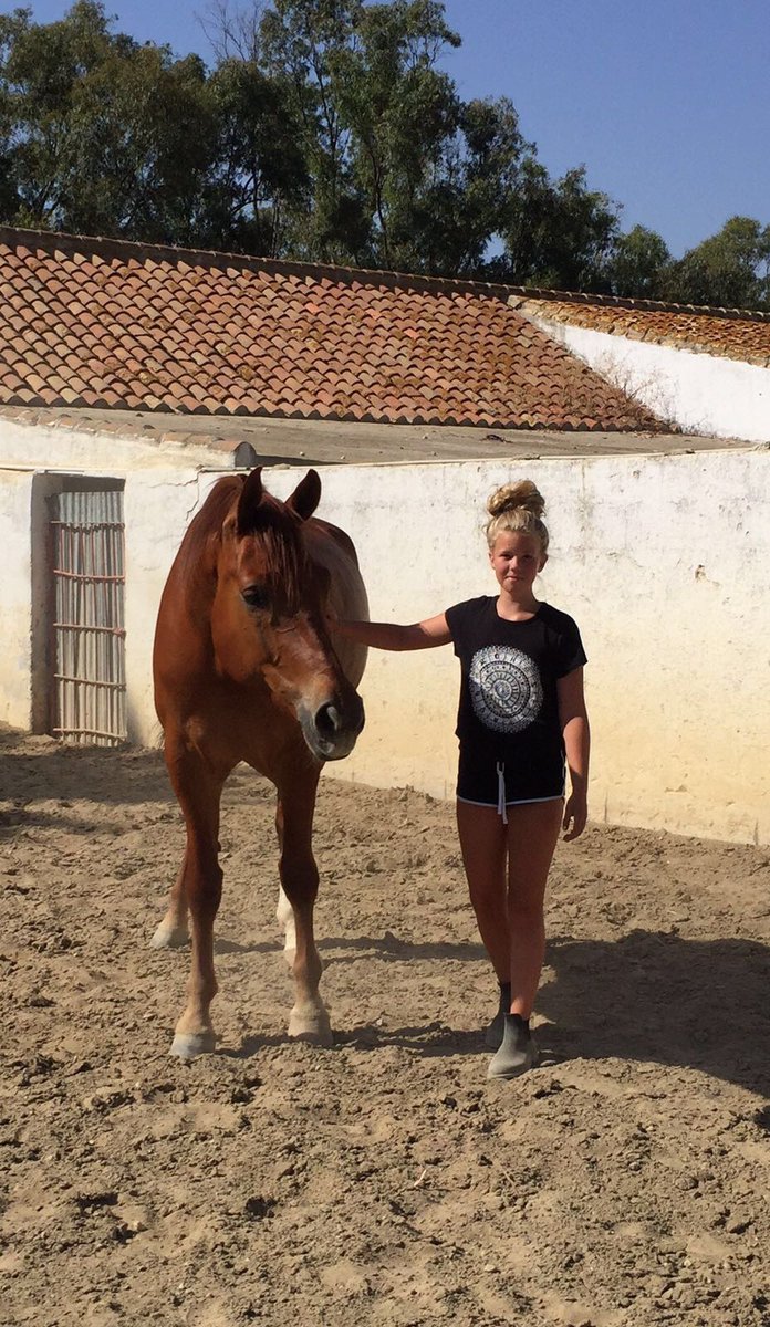 Nigel Bateman tweet media