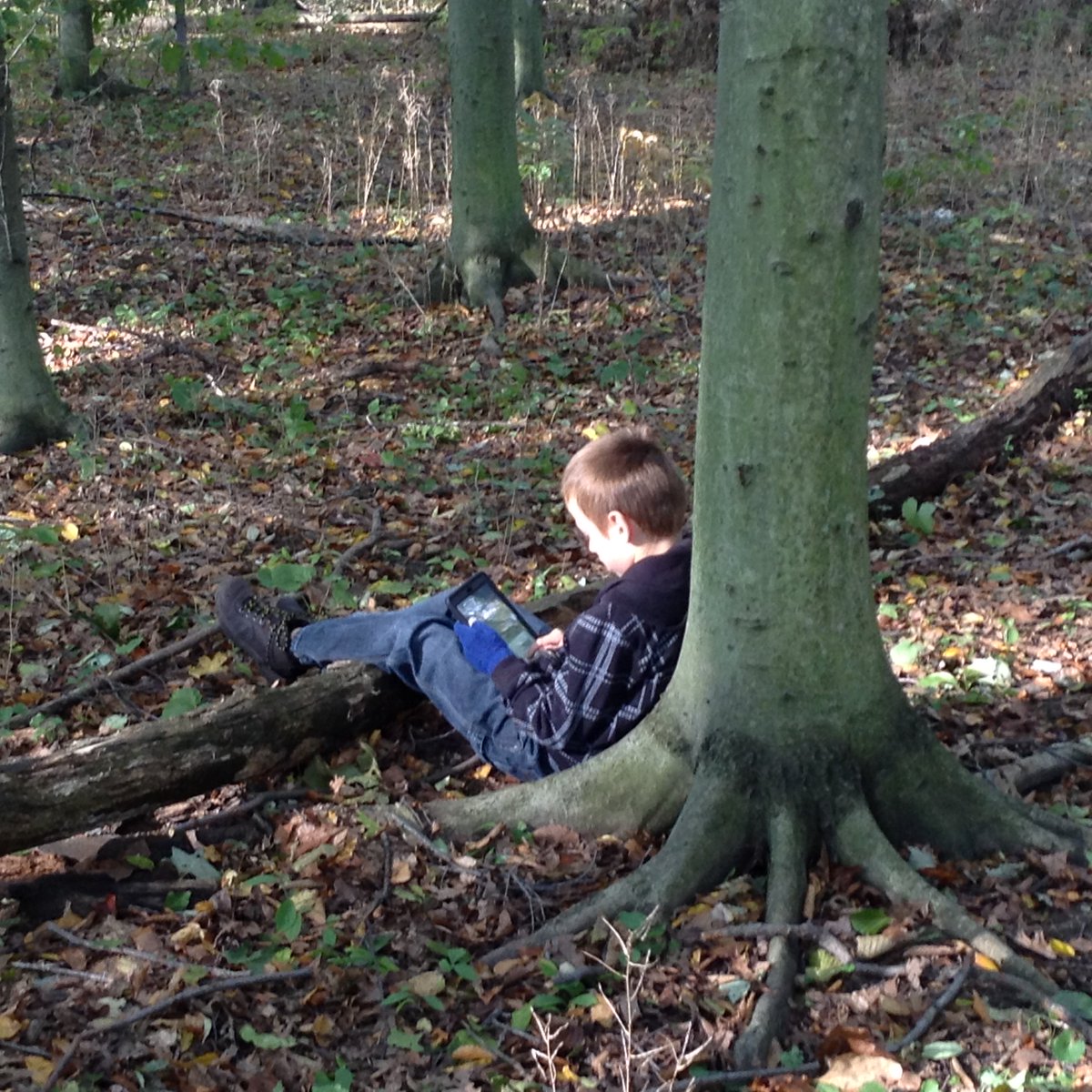 danarppe's tweet photo. Having an incredible week of Nature School with @Jay__Dubois class #treebuddies #treeyoga #eyebombing #invasivespecies #outdoorclassroom https://t.co/JXD7tsOZTq