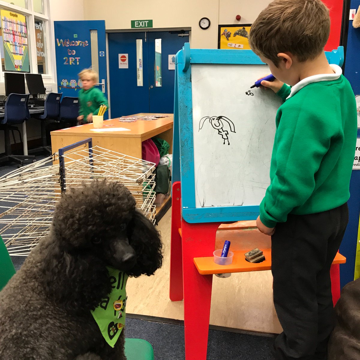 SuchAMojo's tweet photo. @BBCTwo @ChrisGPackham I volunteer at my local primary school with my dogs and the children that struggle are soothed quickly by engaging with them. https://t.co/vXDV4DQ0C7