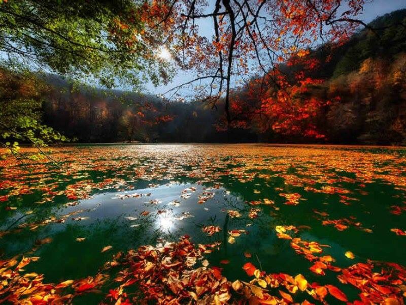 locaorgnzsyn's tweet photo. YAPRAK DOKUMUNE YEDIGOLLERDEYIZ  
5 KASIM SABAH SAAT 08.00 
🚹 KONTENJAN SINIRLIDIR DETAYLI BİLGİ İÇİN 
☎0(532) 427 36 01 https://t.co/Kz2hm2DIZK
