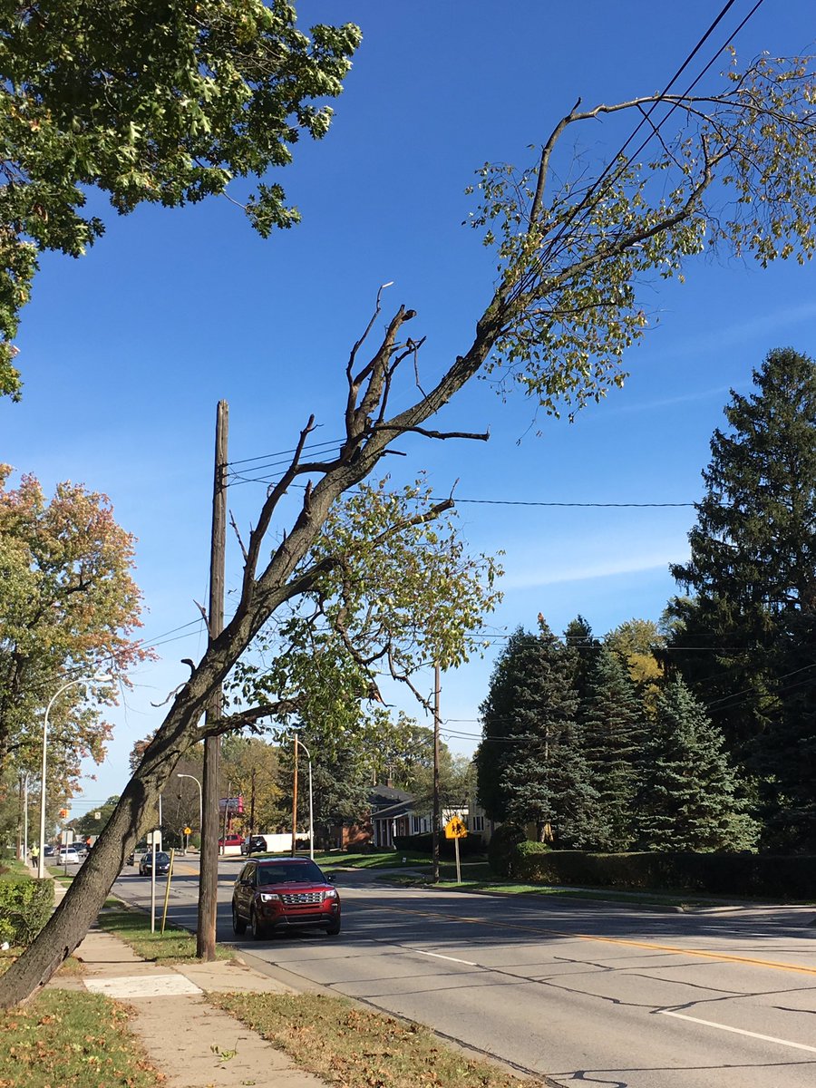 Szyam's tweet photo. @DTE_Energy hopefully you can get to this tree over 13mile sooner than 3 days. Just called it in. https://t.co/pfnKdonVFl