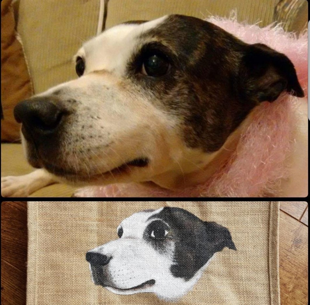 sarky_moo's tweet photo. @ADG_IQ I wish I was the #QueenOf #handpaintedbags new #FemaleEntrepreneur who paints bag for #perfectuniquegifts https://t.co/eMVO8q8iRu