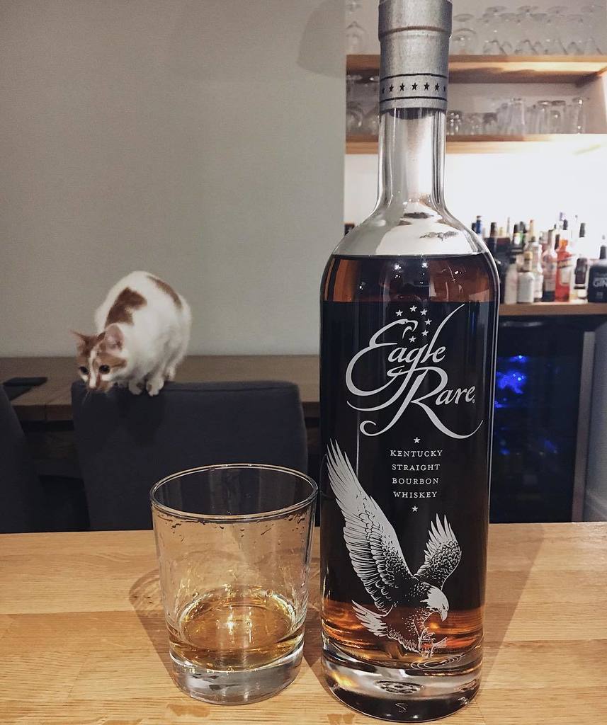 Ellen Holcombe (@ellsibells) on Twitter photo Look what I just bought @kristiantiffany π (the bourbon, not the cat) Look what I just bought @kristiantiffany π (the bourbon, not the cat)