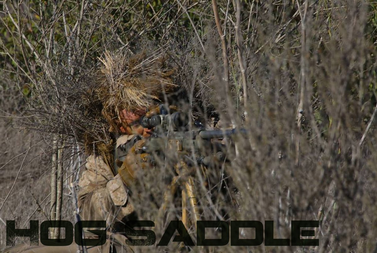 USTS's tweet photo. https://t.co/Pu0ovH5TJy
#HogSaddle #TripodShooting #Hunting https://t.co/GA32IZ1dN5