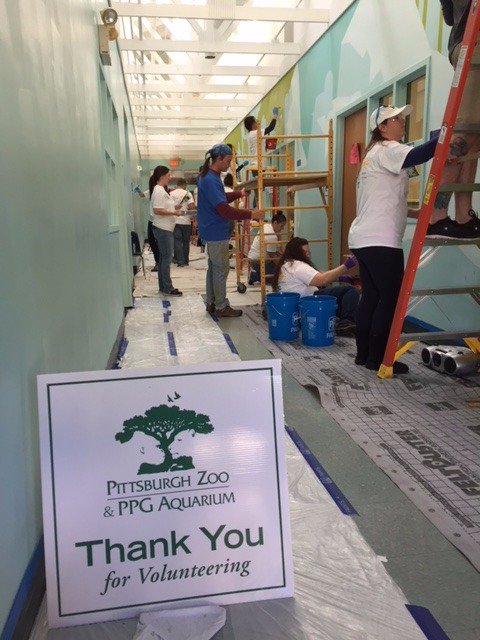 PghZoo's tweet photo. Thanks to @unitedwaySWPA, @PPG & @ppg_communities for your help in making the Zoo beautiful as part of the #ColorfulDayofCaring https://t.co/jsZFmbC1su