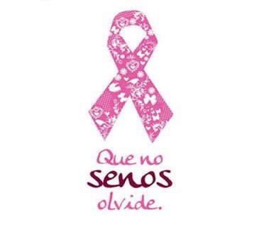 Claudia Sales tweet media