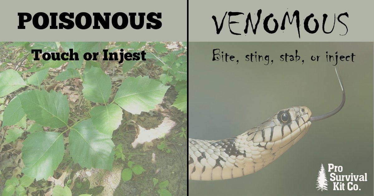 prosurvivalkit's tweet photo. For some, the terms poisonous and venomous are used interchangeably. Both attack the brain, heart, &amp; organs, but the way these toxins ente … https://t.co/W7YF2v4tYi