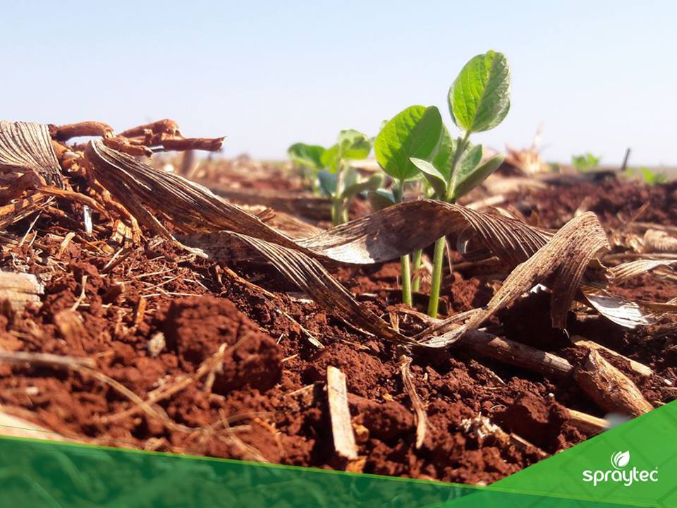 Spraytec Brasil tweet media