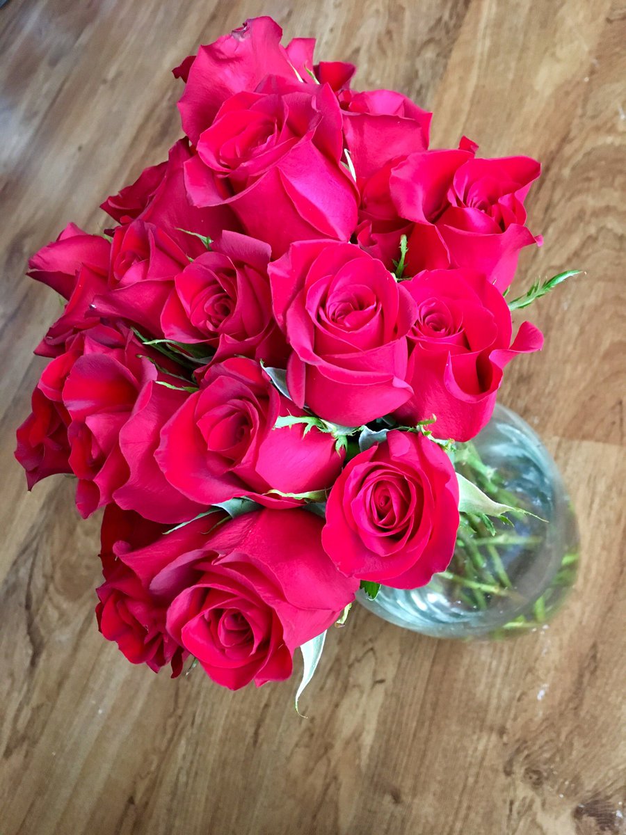 KatieBabin's tweet photo. Just wanna take a minute to appreciate my man 😍 #2dozen 🌹 https://t.co/YwYnPT83uS