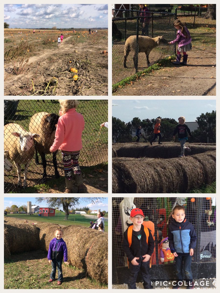 Beautiful day for a trip to the pumpkin patch! A big thank you to all of our amazing volunteers. <a href="/RidgewoodPS/">RidgewoodPS</a>