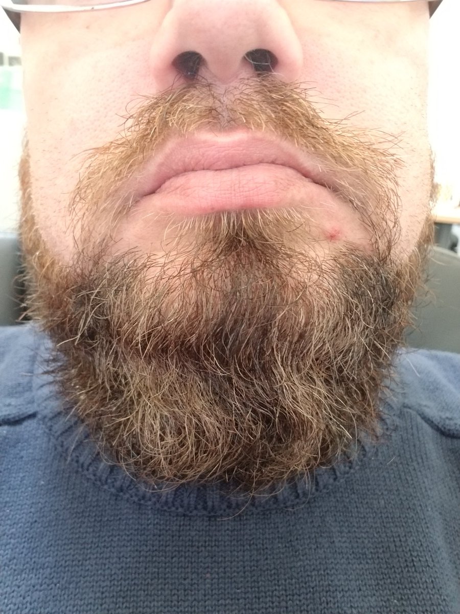 The beard groweth....
#beard #beardtwitter #BeardGang #bearded #beardgamematters