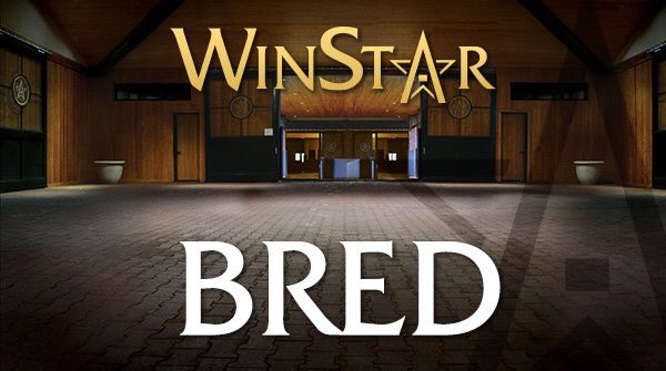 Winstar Farm 2018 Aşım ücretleri