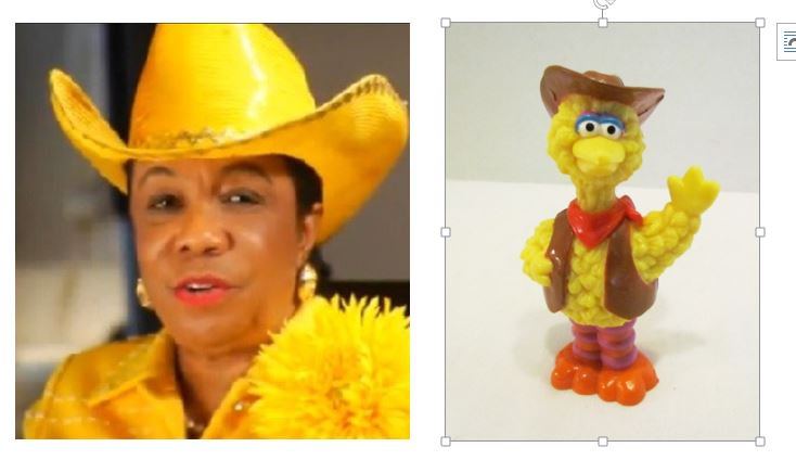 Image result for frederica wilson who wore it better