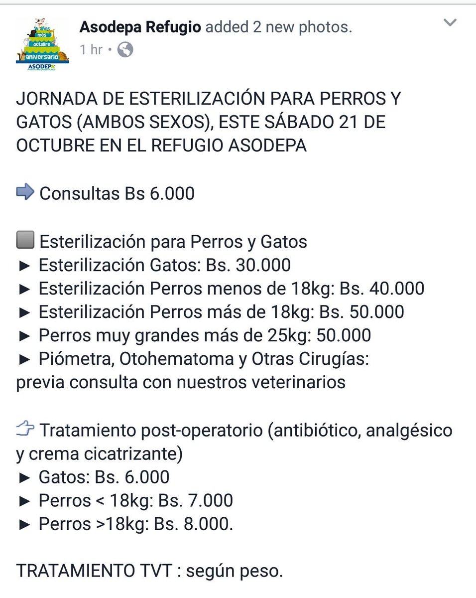 Asodepa's tweet photo. #JornadasdeEsterilizaciónAsodepa este sábado en el refugio. El domingo NO ABRIREMOS. #asodepa #Maracaibo https://t.co/TXPYiA58Lu