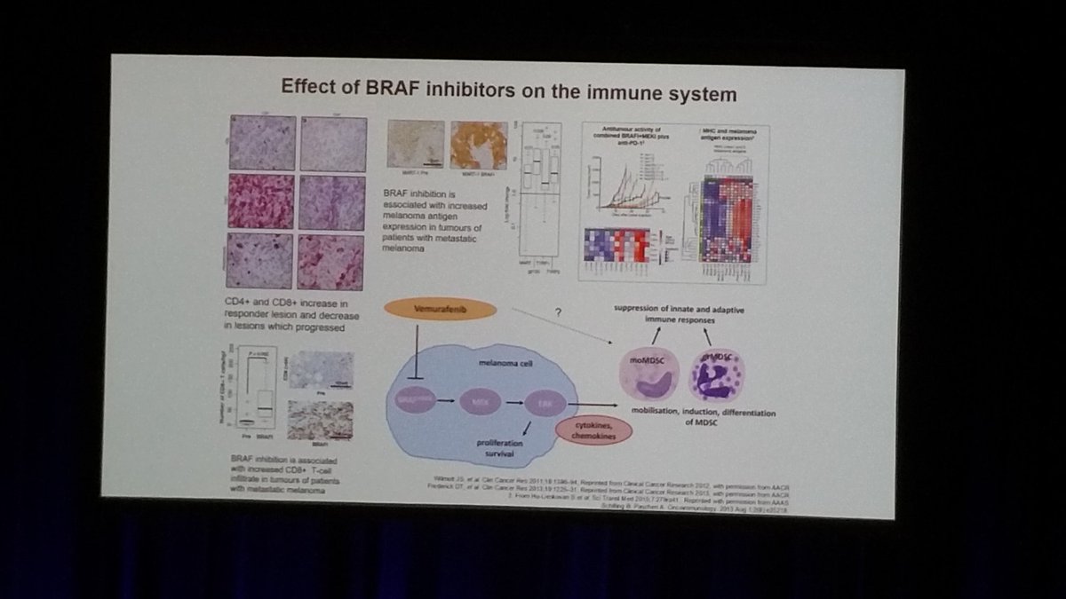 InstitutoOnco's tweet photo. WCM 2017: efeitos imunomediados da terapia anti BRAF. Um novo conceito sendo investigado https://t.co/WEbf8g4R24