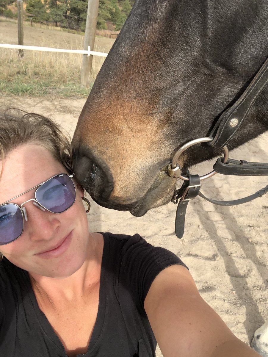 HoofBeatsCo's tweet photo. Tried doing a selfie with Freya but she wasn’t have my it #hoofbeatstheatre #freya #paintmare #thursdayafternoon #horseselfie https://t.co/SEWjJf7HG0