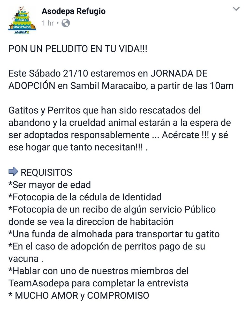 Asodepa's tweet photo. Pon un peludo en tu vida! #JornadaDeAdopción en @tusambilmcbo este sábado 21/10, desde las 10am! Requisitos en la imagen #asodepa https://t.co/kcPTqNViXu