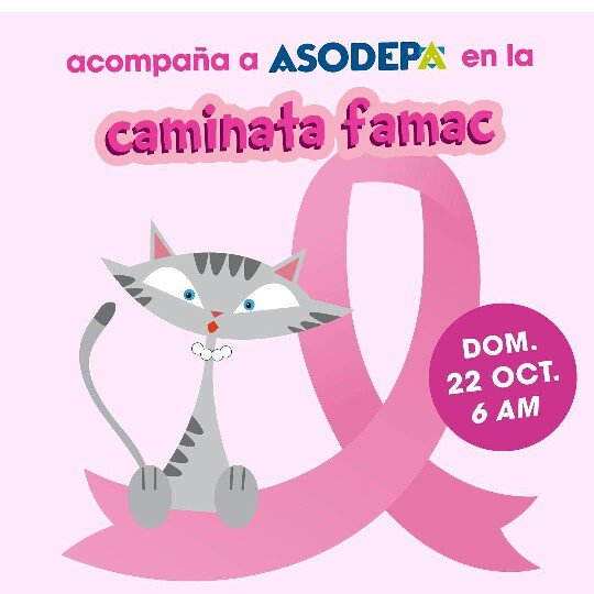 Asodepa's tweet photo. Acompáñanos este domingo 22/10 a las 6am para formar parte de la #marearosa de @FundacionFamac. #asodepa #Maracaibo https://t.co/Bapu0kqGmR