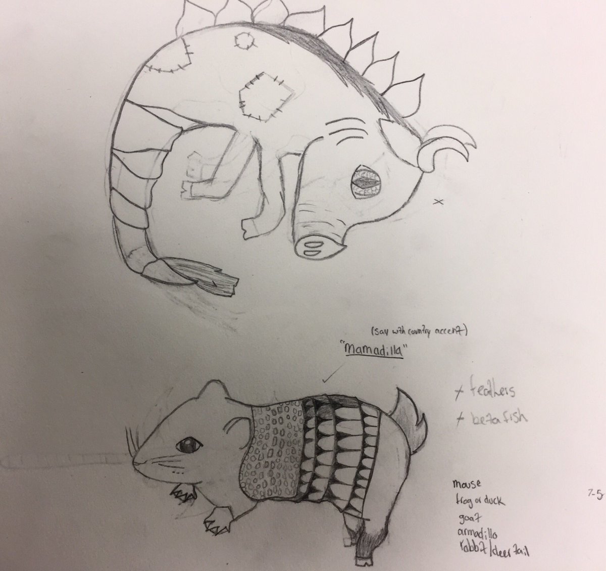 RodriguezCMSArt's tweet photo. Say this with a country accent... “mamadilla” haha #ImaginaryAnimals #projectplanning #7thgradeart #ComalFineArts @ECraigCMSArt @Mengelart https://t.co/lmTPzIDWhm