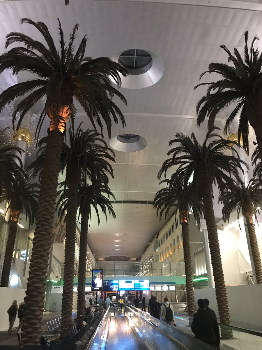 MattGreenPCYC's tweet photo. Trees! Indoors. You won't find that at Leeds Bradford. First leg to Dubai complete. Next stop Sri Lanka. https://t.co/48PiKRSe59