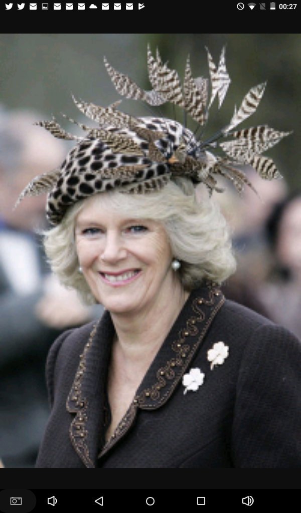 Προβολή εικόνας στο Twitter