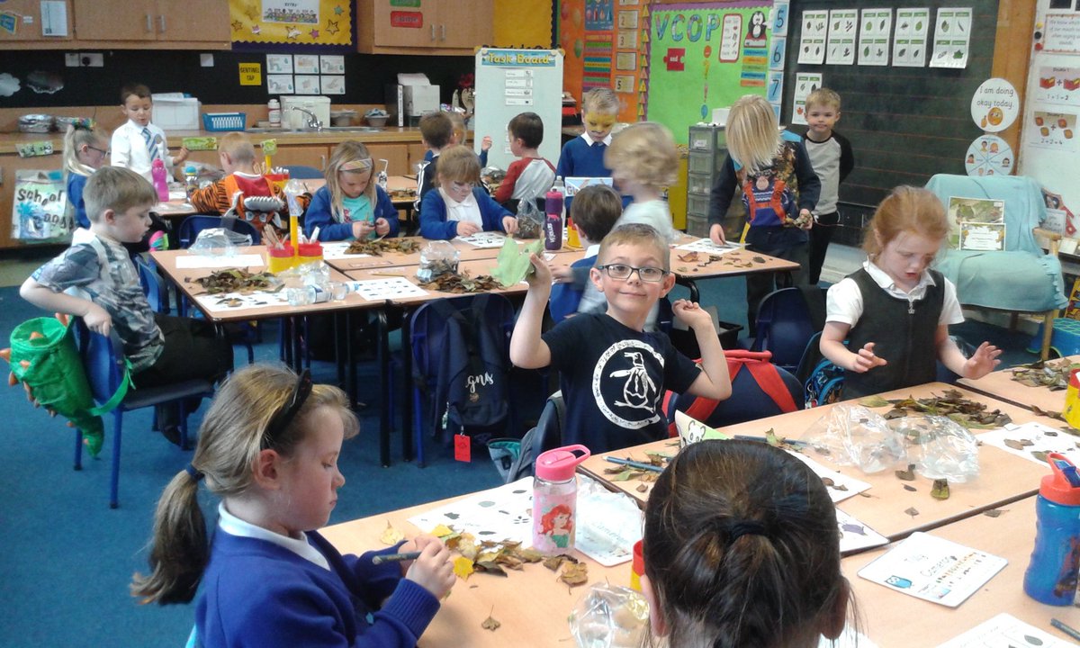 MissQuinn14's tweet photo. Today we were identifying leaves we had collect yesterday from the school garden. https://t.co/FjtToGGtoP