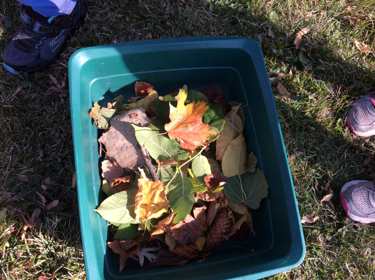 K3Kinders_HW's tweet photo. It was a beautiful day for a fall nature walk. We can't wait to explore our pieces of nature! https://t.co/GRBhxImRrO