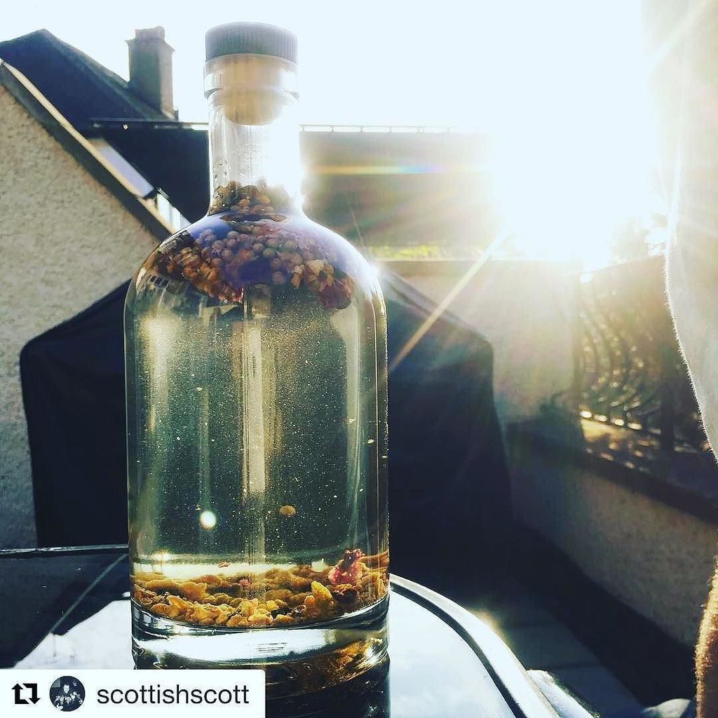 gin_etc's tweet photo. Last rays of sunshine? Time for a g and the of course! And even better when it’s your own blend 👌🏼 #Repost @scottishscott (@get_repost)
・・・… https://t.co/Pd1HHQ8zih
