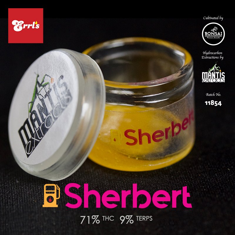 _errls's tweet photo. New Sherbert #terpsauce from #mantisextracts❌bonsaicannabis is another big winner! So much gas! ⛽️⛽️⛽️🔥🔥😍 https://t.co/U8mPod0dDm