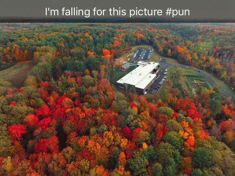 JaredGauthier4's tweet photo. @TreeHouseBrewCo https://t.co/uHCknpxWiw
