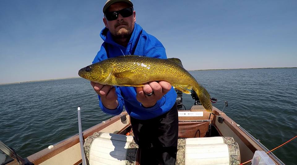 Carrotstix13's tweet photo. "..awesome rod w/ great sensitivity for the lightest of bites while the walleye are hiding down deep.." -Andrew Potter #throwbackfishing π£ https://t.co/u1ZVcOCcAU