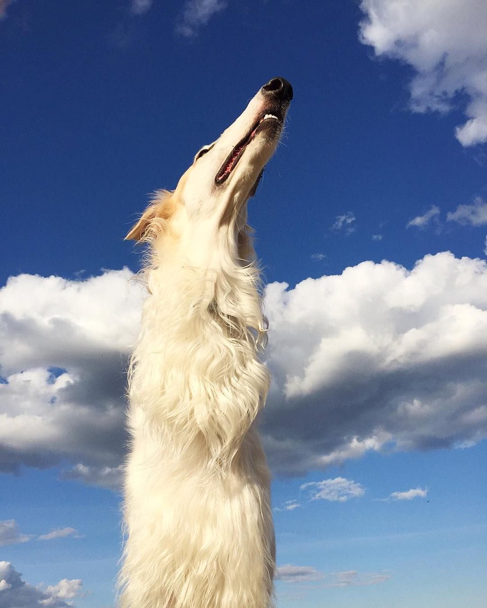 Longboi - by René Magritte (1929)