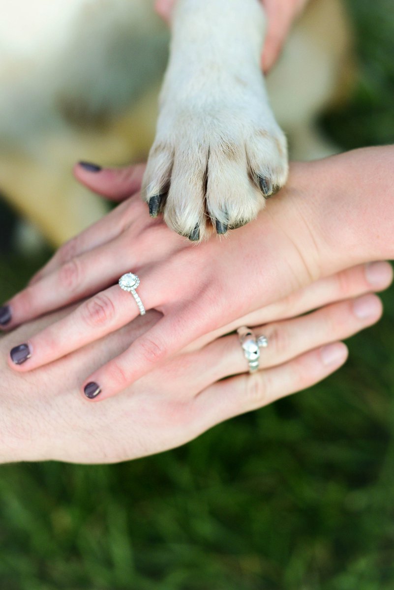 destinationido's tweet photo. Get some inspiration and ideas for having your pets as a part of your wedding! Photo c/o @susiemariephoto https://t.co/ACPC9BVqzF https://t.co/rRDjPuA3yM