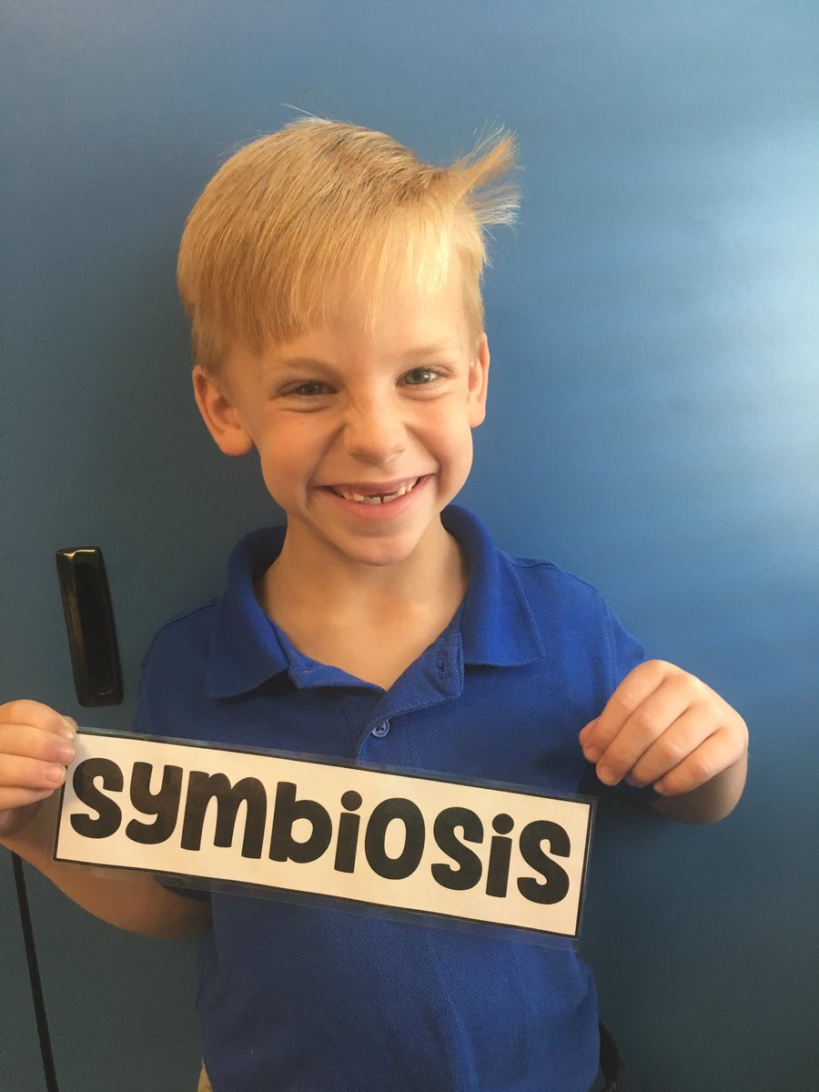Mrs_Ds_Firsties's tweet photo. When you naturally discover "symbiosis" when discussing plants, flowers &amp; bees...a proud photo is a must! 😁🌸🐝#ClassroomTalks @Schaffner063 https://t.co/gw696Au424