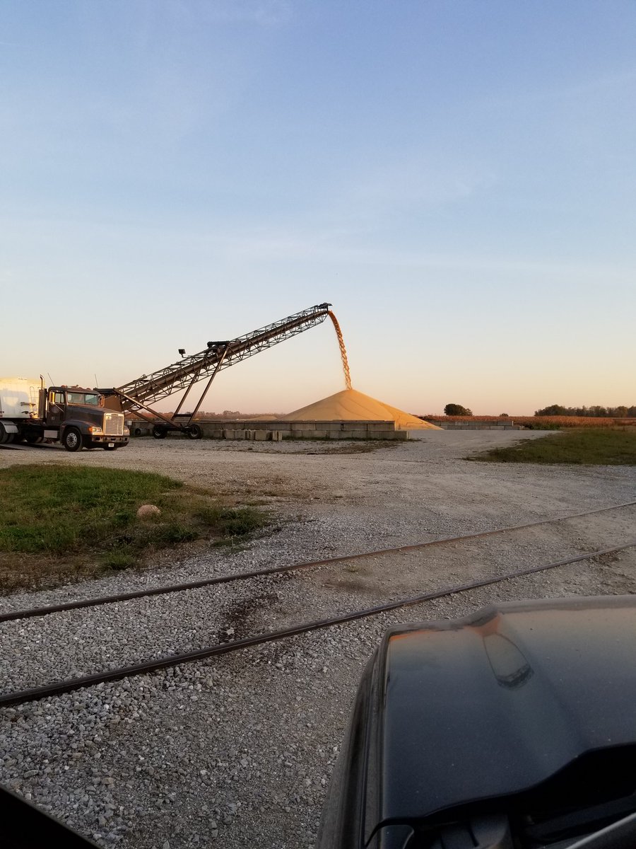 tylerrmatthews's tweet photo. First time in my life piling a commodity...... Would never have guessed it to be beans #NotGood https://t.co/vsQhdLaLy9