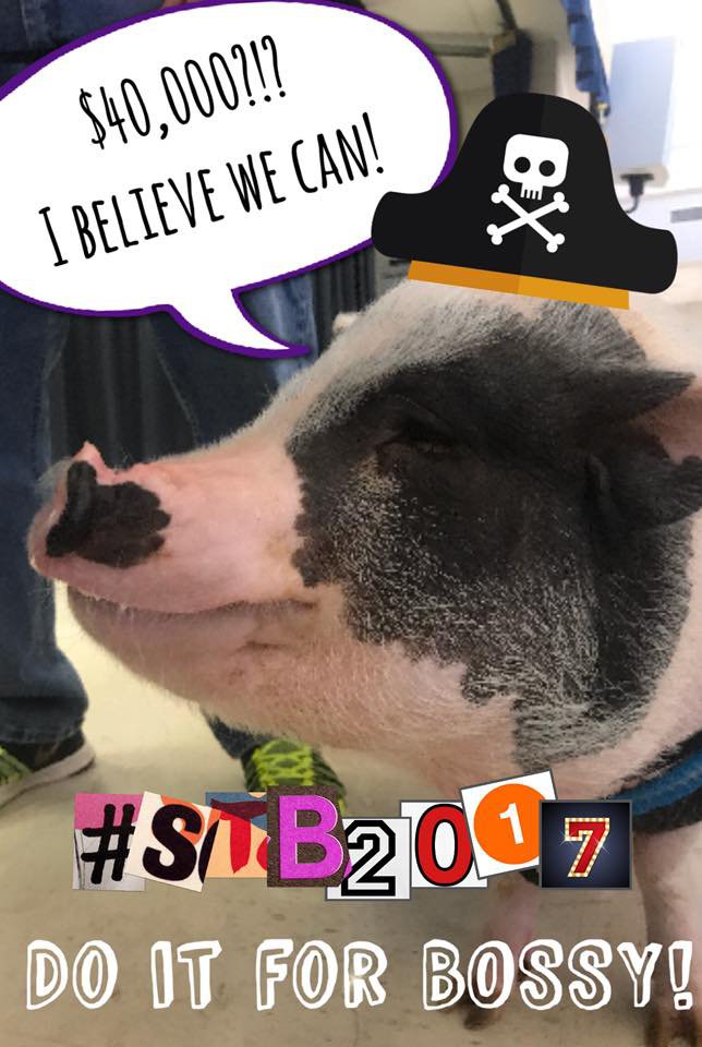 PMES_PTA_Fndn's tweet photo. We have raised nearly $35,000 PMES!! Yay! But Bossy believes we can make it to $40K!! https://t.co/mwxT2vByyF #stb2017 https://t.co/b8UGMl1Rb4