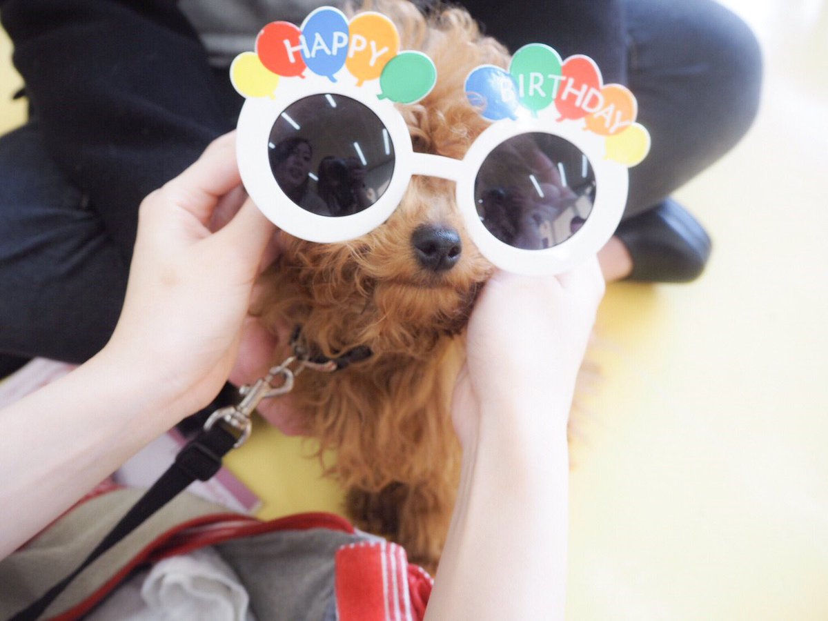 ___pokieve's tweet photo. 学生に戻りたい～ https://t.co/vAQtvBno1U