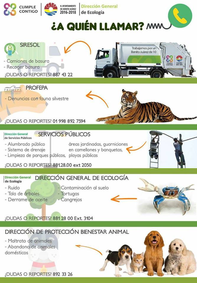 Tierradanimales's tweet photo. #TDAtips es muy sencillo... eres parte del problema o de la solución? No te quedes callado. https://t.co/HGf1yHdVU6