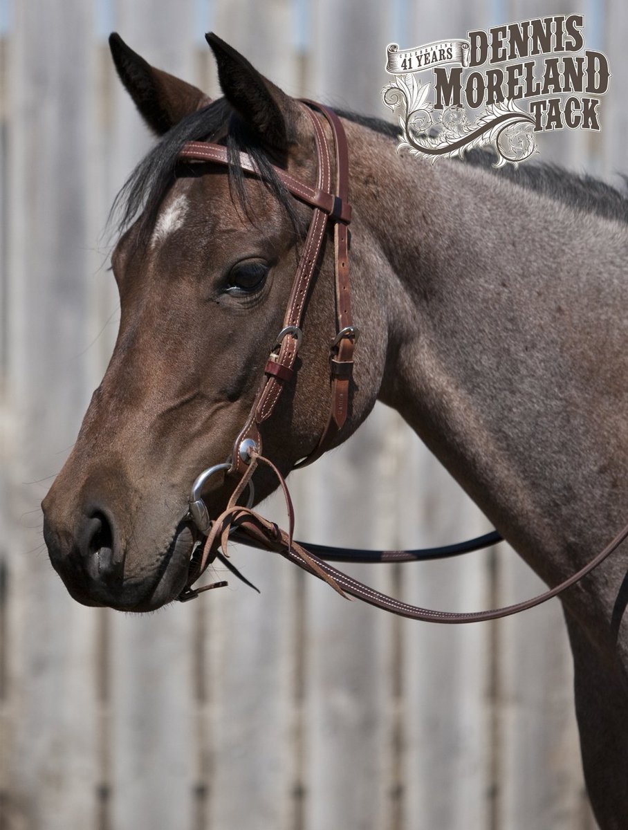 DmtackT's tweet photo. Split Reins, Roping Reins, 2 Rein & Romals: Which Reins are Right for You?
Wish you knew more?: https://t.co/U6tVp5XPO5
#tacktips #tacktalk https://t.co/dloWhG6IBz