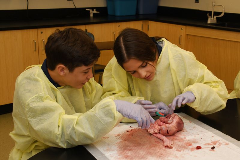 StDomsHS's tweet photo. Our STEM Scholars Program is a rigorous 4-year program that immerses students in courses rich in science, tech, engineering, math. #whydoms https://t.co/eSExsvfEey
