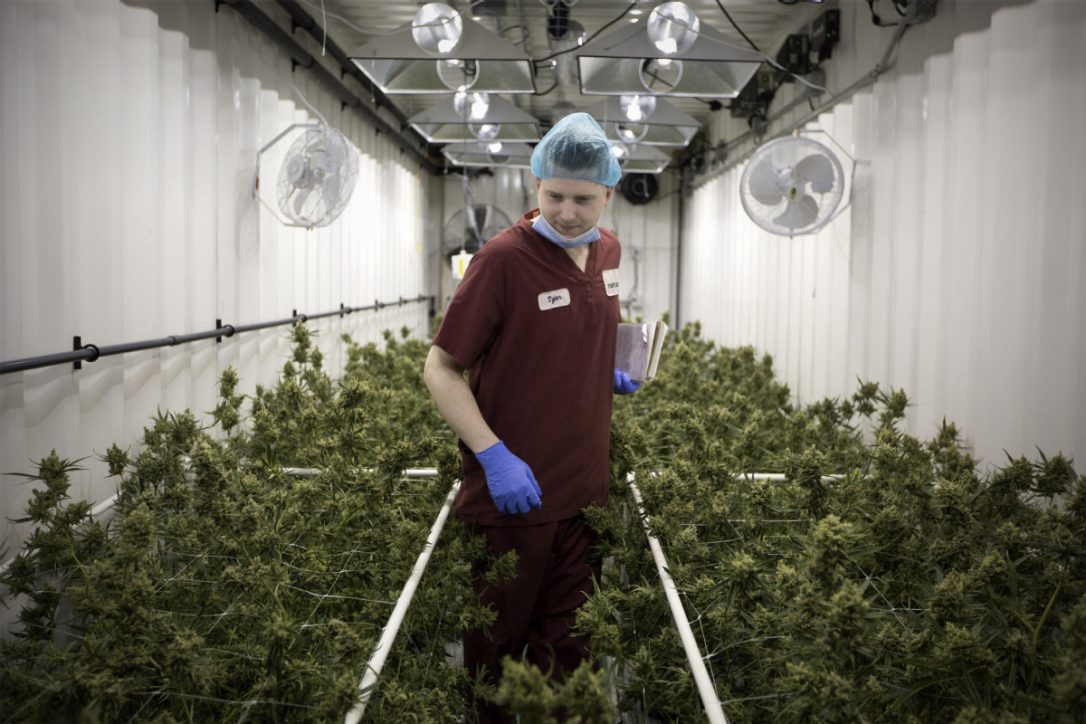 Investing420 tweet picture