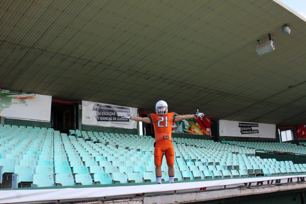 ESTADIOSdeMÉXICO tweet media