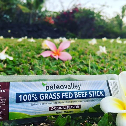 paleolifeRT's tweet photo. This #healthsnack is TopRated by #Paleomag ๐ป https://t.co/Y72mGRuFEN #guthealth #lowcarb #glutenfree #nogmo #HealthTips #paleo #Shoporg17 https://t.co/eoC7wyU7kt